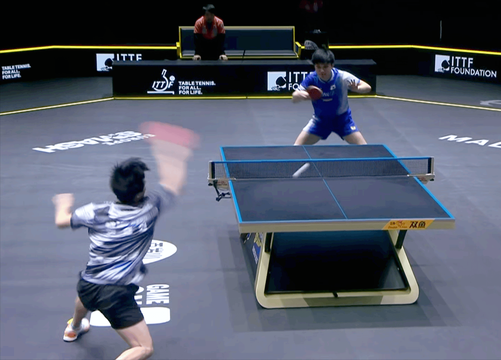 中国米兰体育-关于德国乒乓球队爆冷瑞典乒乓球队,张本智和送出助攻的信息