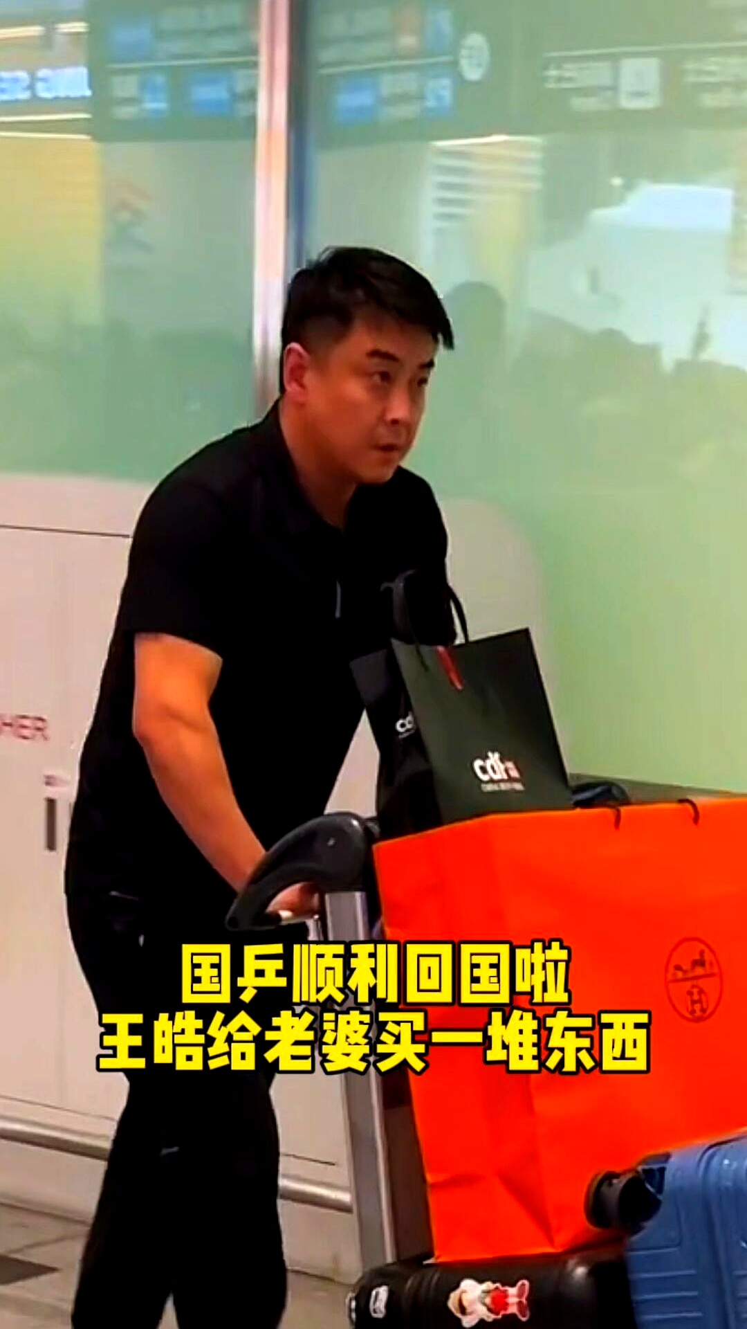 法国乒乓球队完胜瑞典乒乓球队，王皓一己之力扛起全队的简单介绍