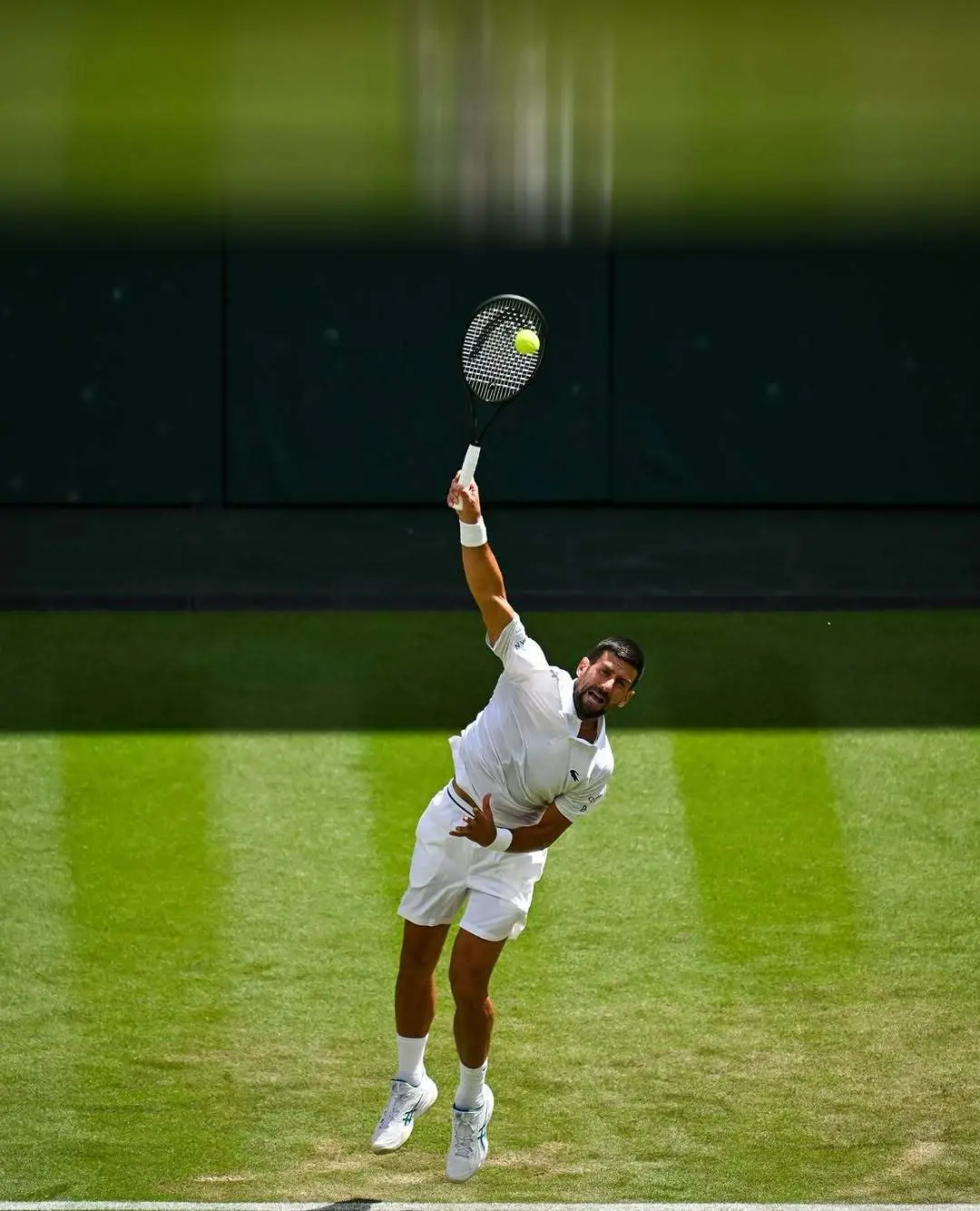 温网逆转联合杯,德约科维奇关键制胜的简单介绍 温网逆转联合杯,德约科维奇关键制胜的简单介绍